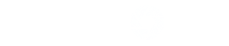 Pixanora Logo Transparant white